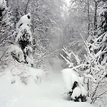 Leuweli