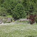 Leuweli *